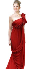 Anna Hathway Style Red Carpet Dress